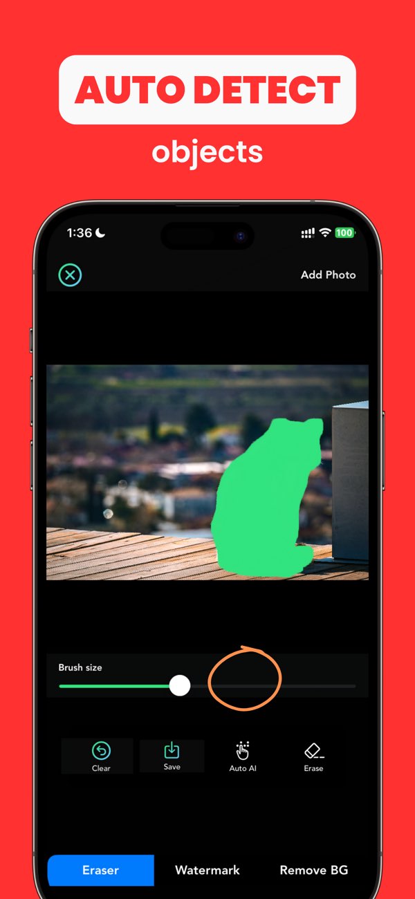 Any Erase screenshot showing background editing